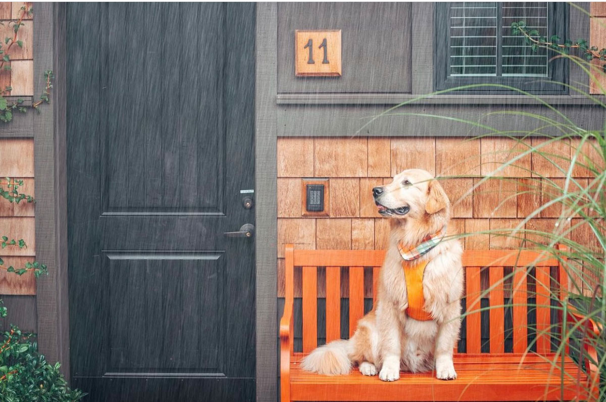 orangebench