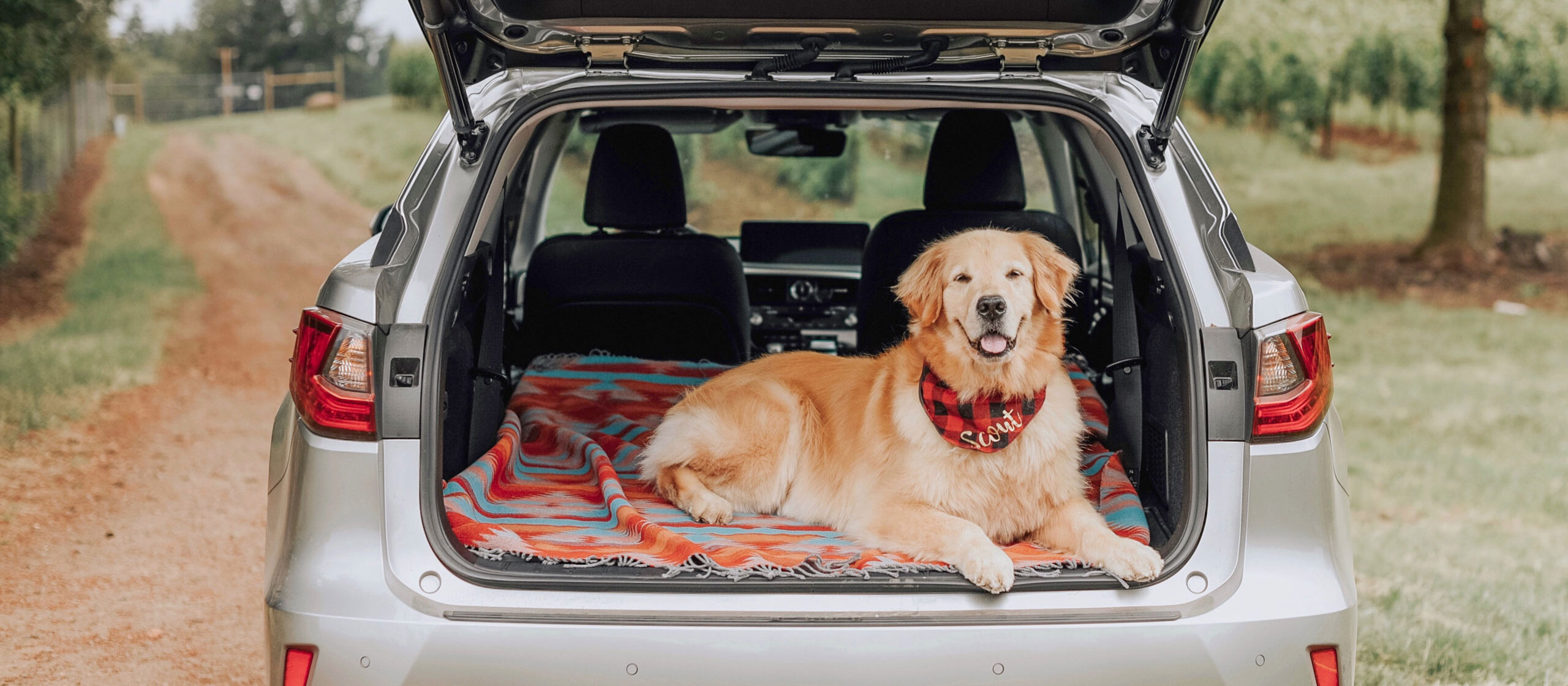 scoutsubaru