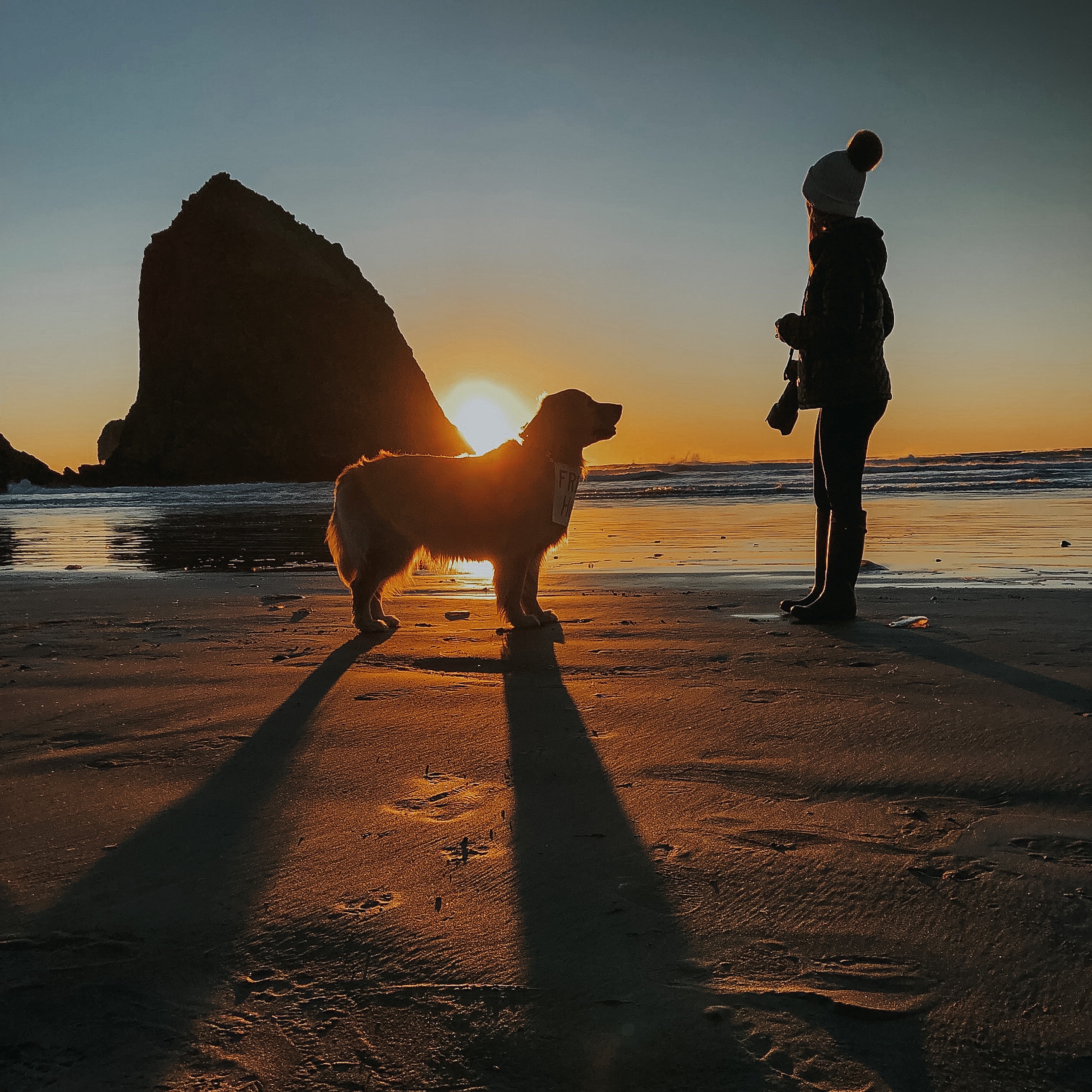 15 Strategies that Helped Me Cope with the Grief of Losing My Heart Dog
