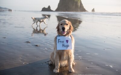 A Dog’s Guide to Cannon Beach