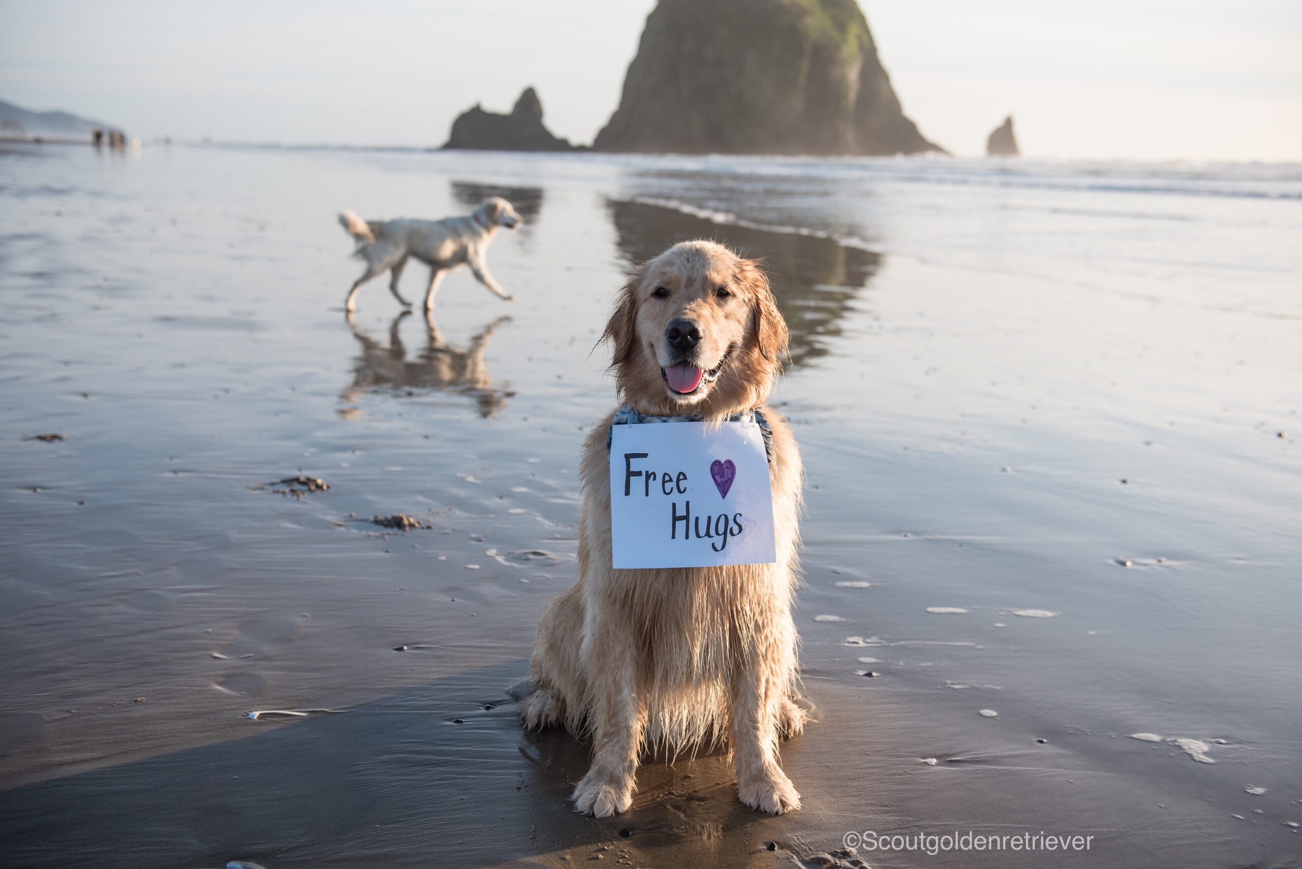 A Dog’s Guide to Cannon Beach