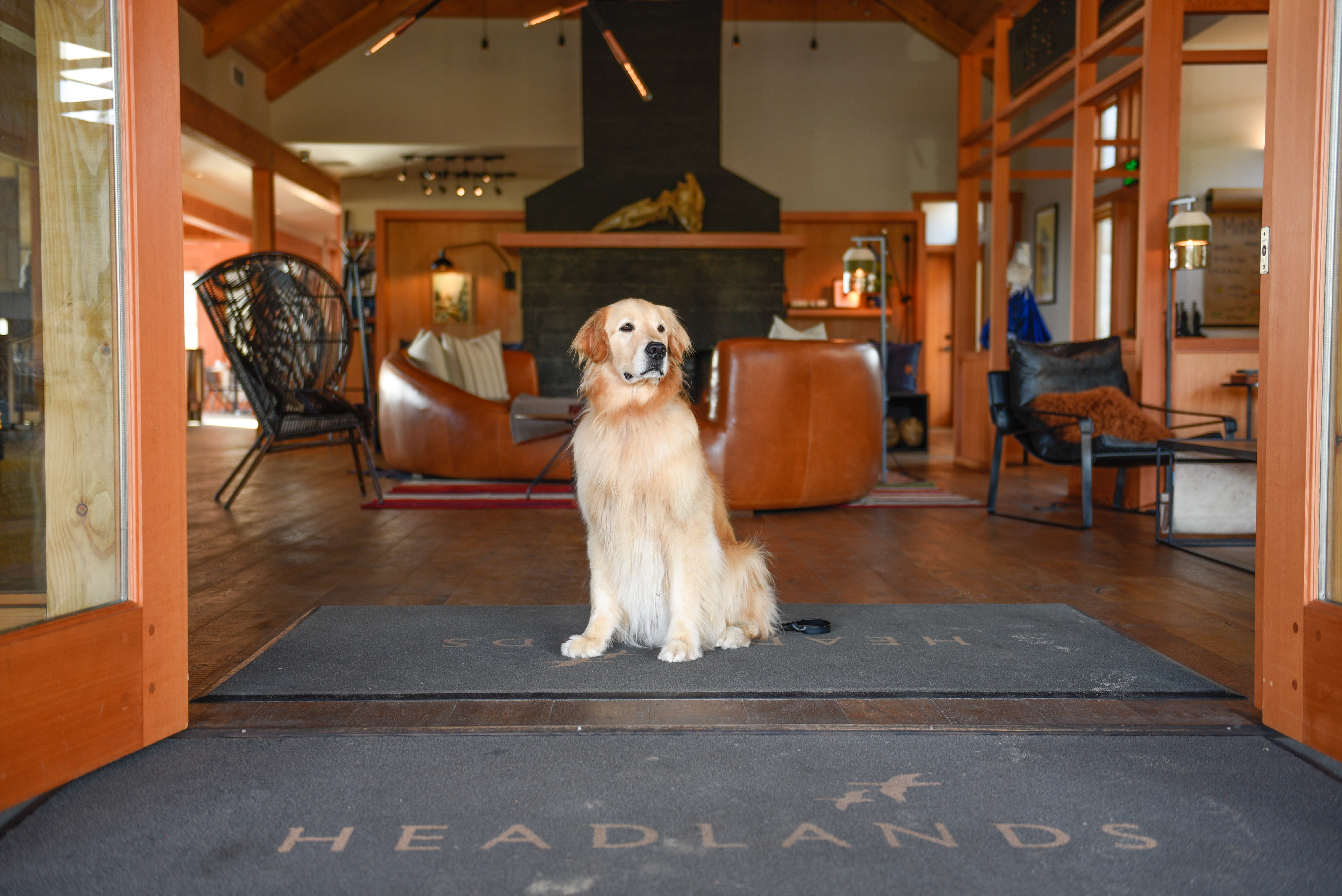 Headlands Coastal Lodge & Spa: Welcoming Dogs and their Families with Open Arms