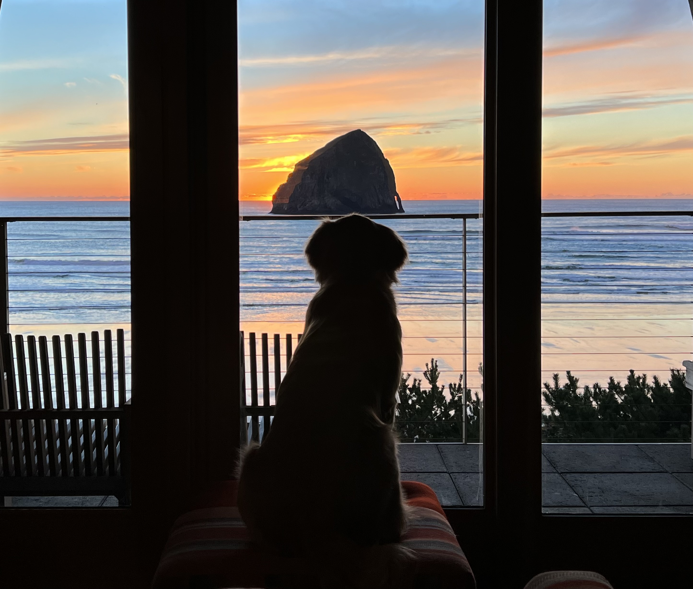 Headlands Coastal Lodge & Spa: Welcoming Dogs and their Families with Open Arms