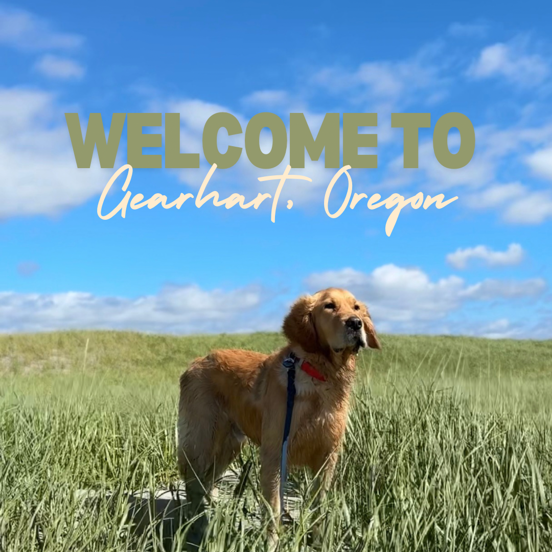 Pet-Friendly Guide to Gearhart, Oregon