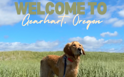 Pet-Friendly Guide to Gearhart, Oregon