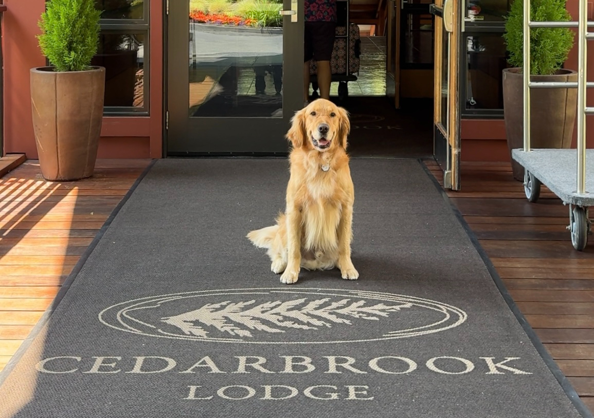 Pawtastic Stay at Cedarbrook Lodge, SeaTac, WA