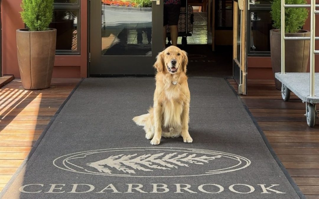 Pawtastic Stay at Cedarbrook Lodge, SeaTac, WA