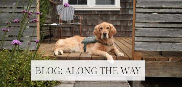 BLOG ALONG THE WAY (2)